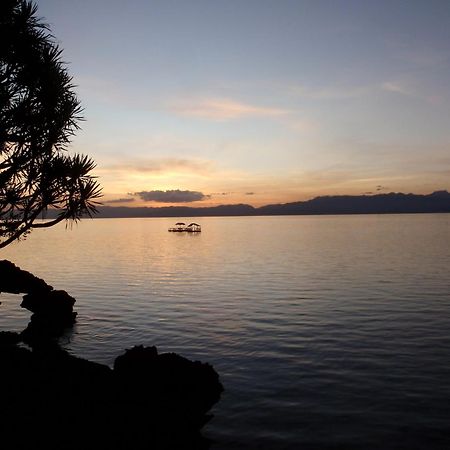The Blue Orchid Resort Moalboal Exterior foto