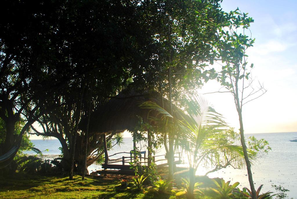 The Blue Orchid Resort Moalboal Exterior foto