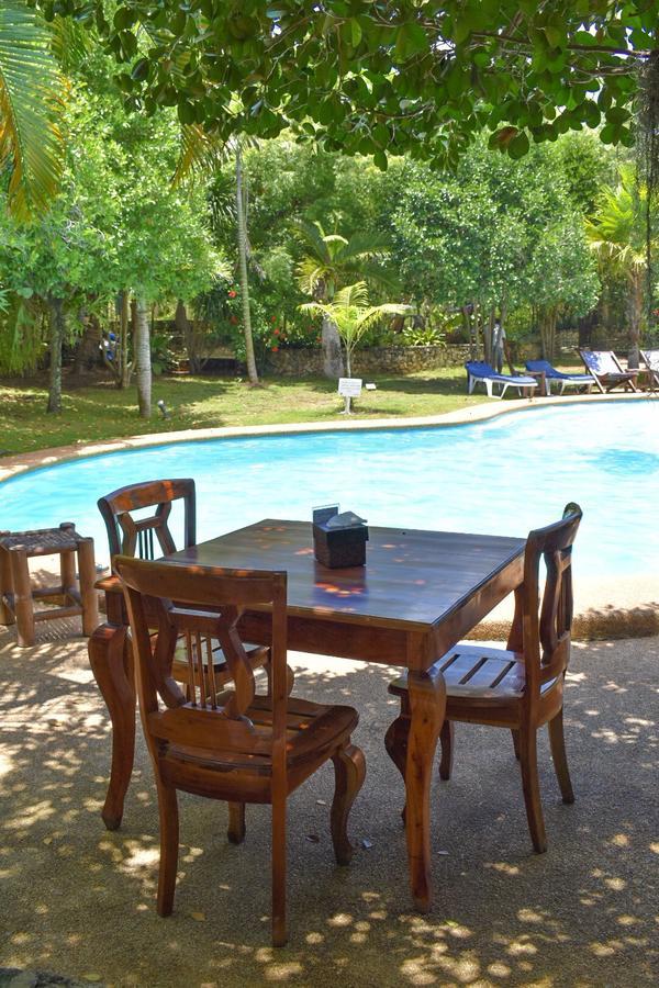The Blue Orchid Resort Moalboal Exterior foto