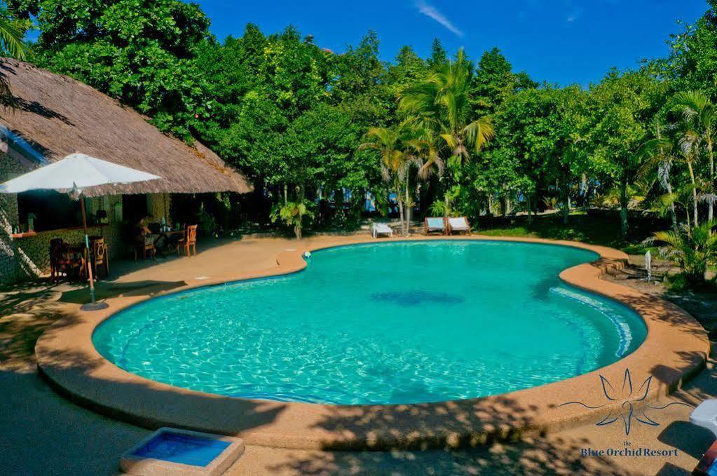 The Blue Orchid Resort Moalboal Exterior foto